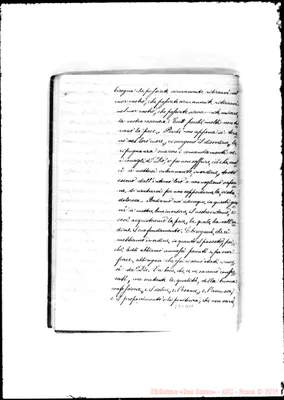 Fotogramma D 11