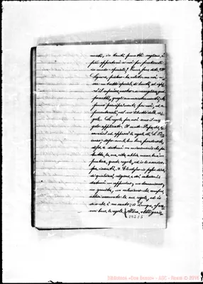 Fotogramma C 5