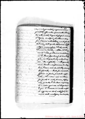 Fotogramma C 8