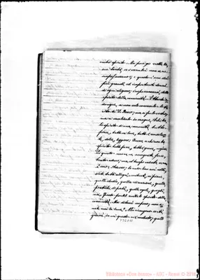 Fotogramma C 11