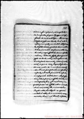 Fotogramma D 3