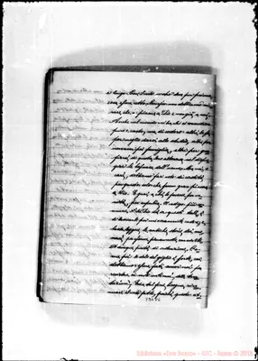 Fotogramma D 6