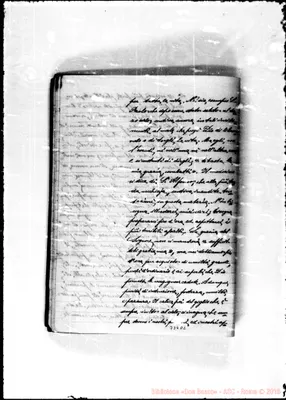 Fotogramma D 8