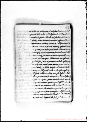 Fotogramma D 11