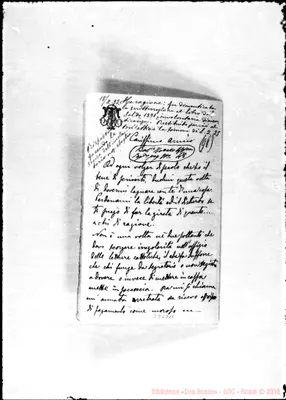 Fotogramma D 11