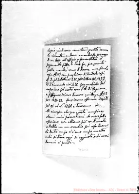 Fotogramma D 12