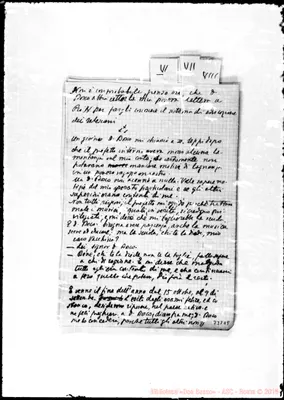 Fotogramma D 8