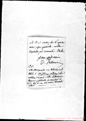 Fotogramma B 2