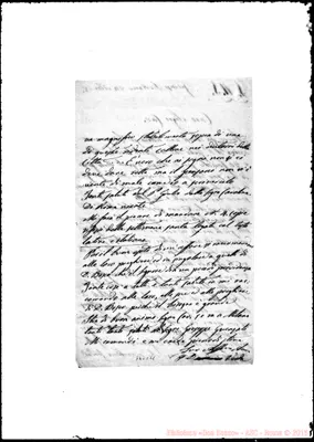 Fotogramma C 11