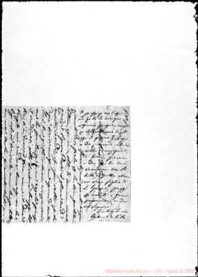 Fotogramma C 1
