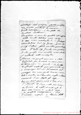 Fotogramma D 11