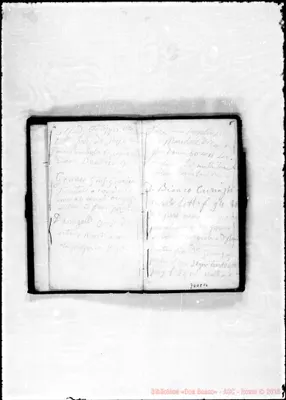 Fotogramma C 10