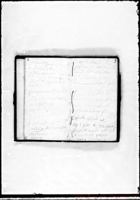 Fotogramma C 12