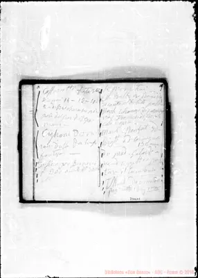 Fotogramma D 5