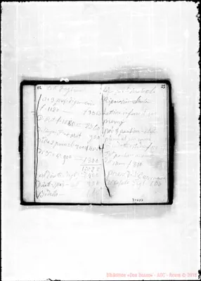 Fotogramma D 7