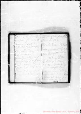 Fotogramma D 9