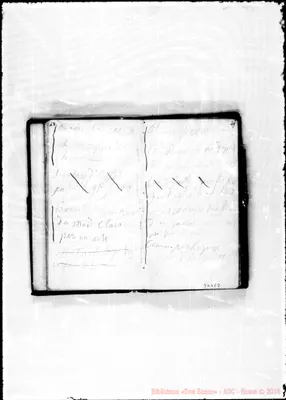 Fotogramma E 8