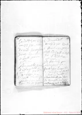 Fotogramma C 6