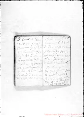 Fotogramma C 11