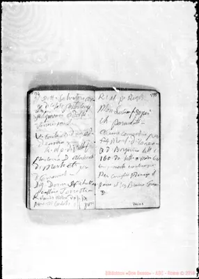 Fotogramma D 3