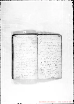 Fotogramma D 7