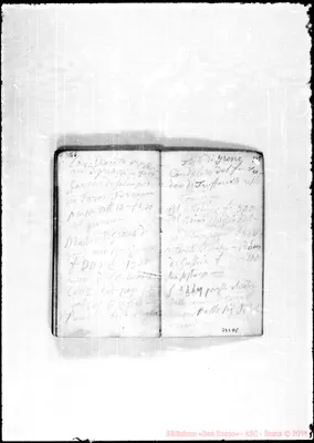 Fotogramma D 8