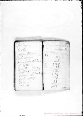 Fotogramma D 11