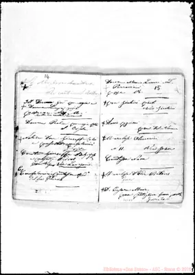 Fotogramma E 7