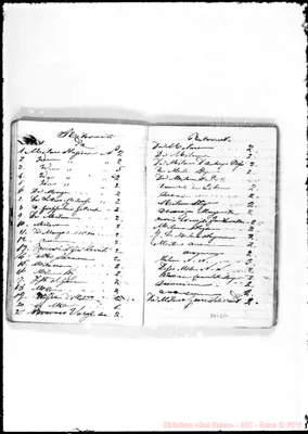 Fotogramma E 10