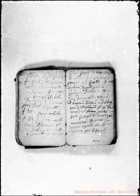 Fotogramma B 3