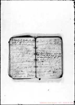 Fotogramma B 5