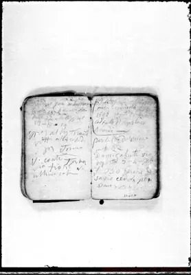 Fotogramma B 10