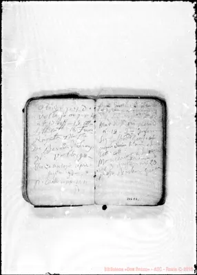 Fotogramma C 1