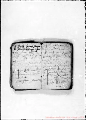Fotogramma C 2