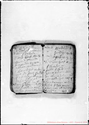 Fotogramma C 3