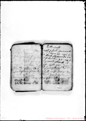 Fotogramma C 6