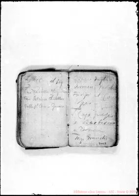 Fotogramma C 7