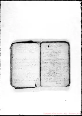 Fotogramma C 11