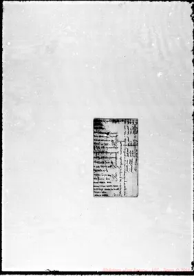 Fotogramma D 2