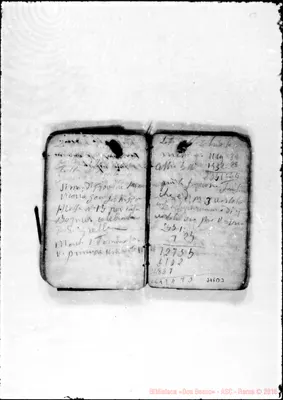 Fotogramma D 3