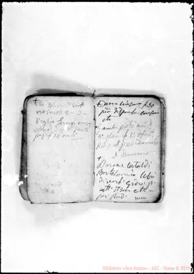 Fotogramma D 10