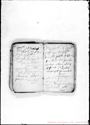 Fotogramma D 11
