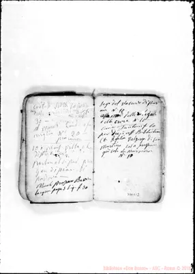 Fotogramma D 12