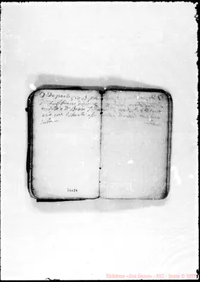 Fotogramma E 4