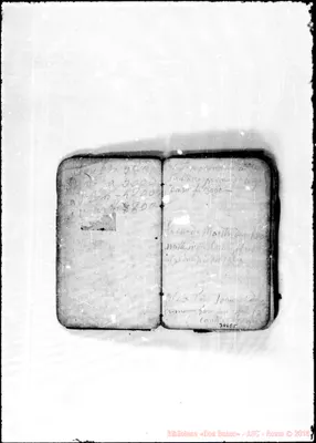 Fotogramma E 5