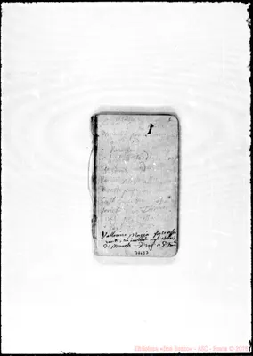Fotogramma E 7