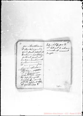 Fotogramma C 1