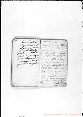 Fotogramma C 2