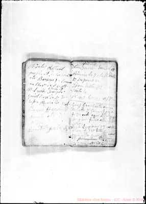 Fotogramma C 8