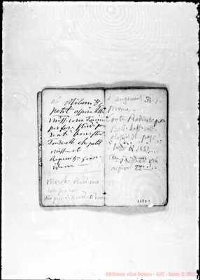 Fotogramma D 3